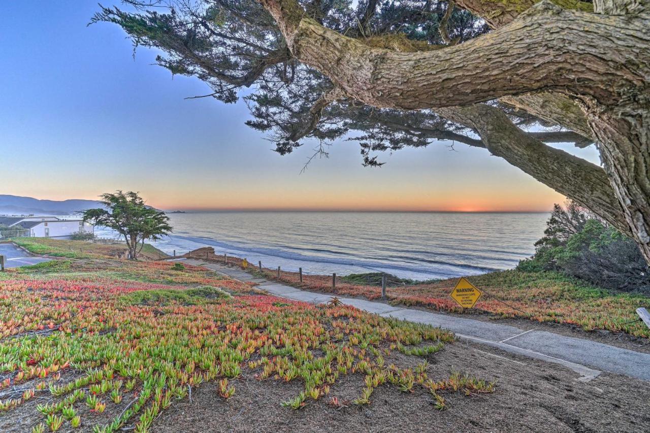 Cliffside Pacifica Hideaway Unbeatable View! Appartement Buitenkant foto