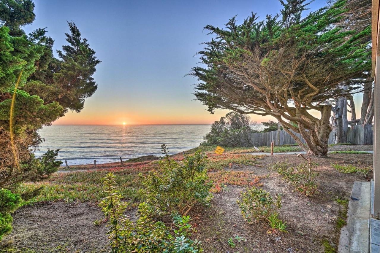 Cliffside Pacifica Hideaway Unbeatable View! Appartement Buitenkant foto